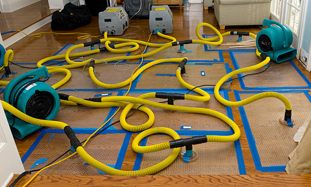 Professional Basement Flood Cleanup technician working in Lorena, TX
